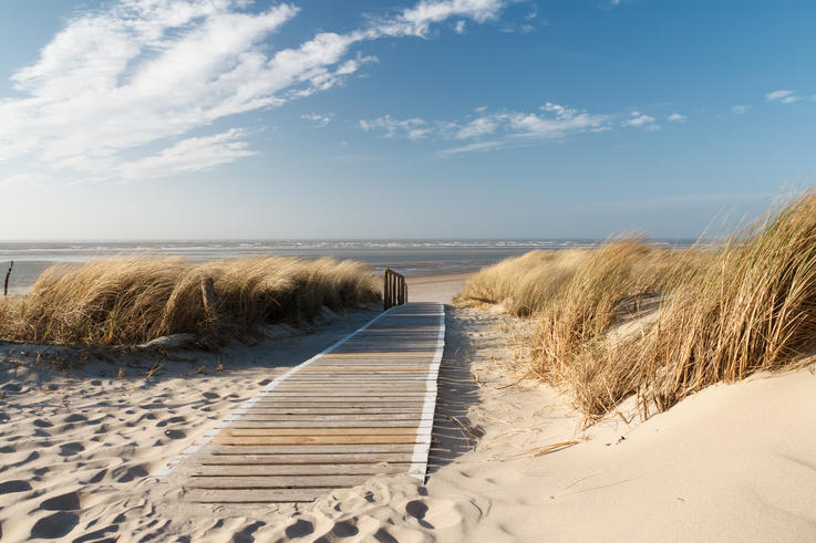 Stärken und Hindernisse der Region Ostfriesland werden in einem Forschungsprojekt unter die Lupe genommen. (Foto: fotolia).