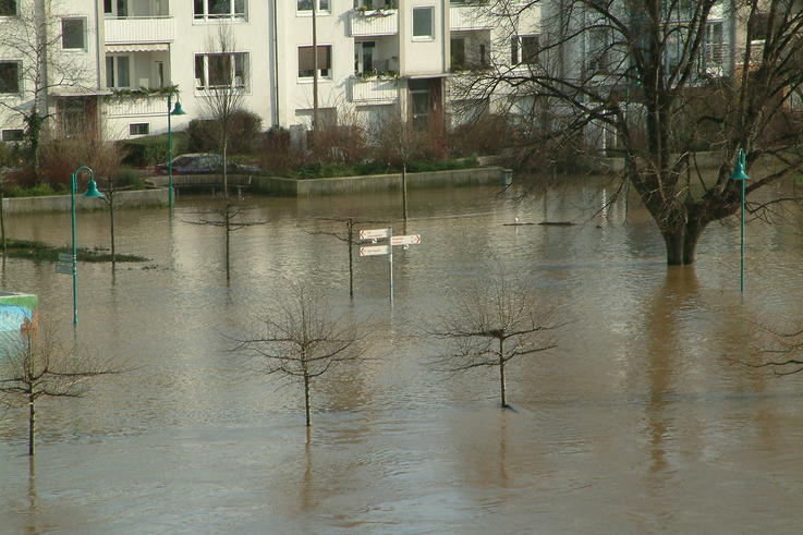 Hochwasser in Bonn 2003. <span>Foto: Bormann</span>